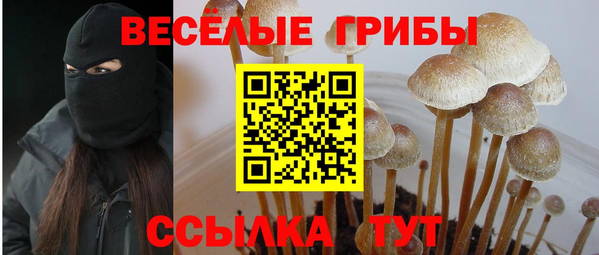 Галлюциногенные грибы Magic Shrooms  Вход с VPN  Усть-Кут 