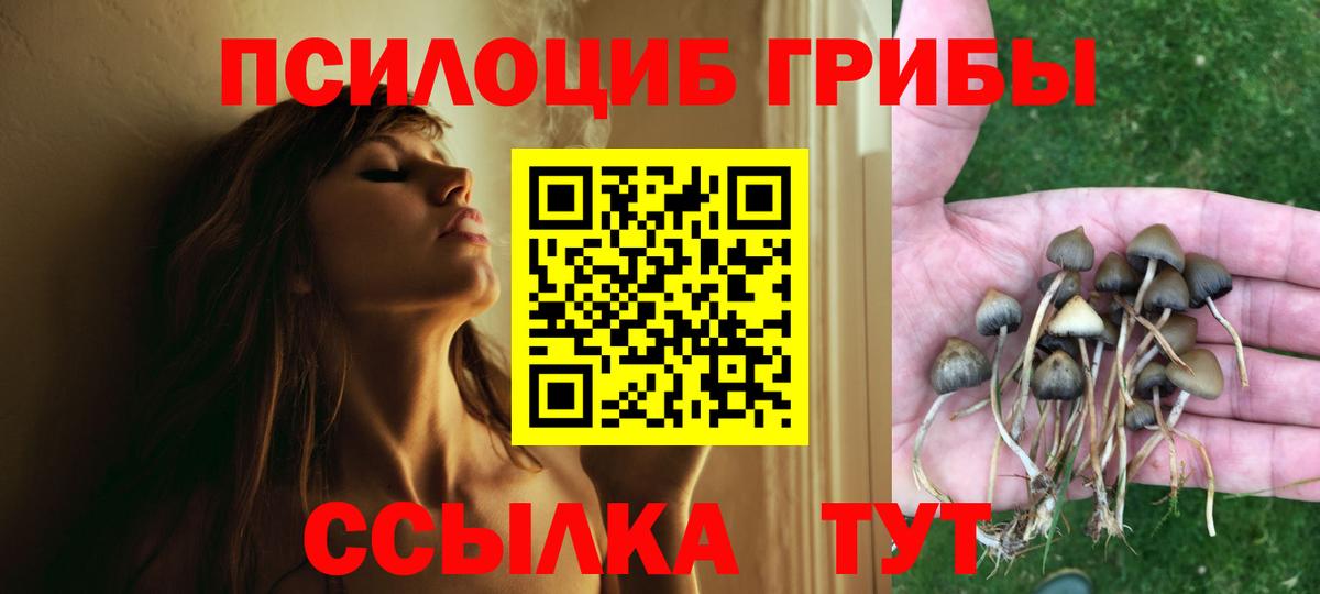 Галлюциногенные грибы MAGIC MUSHROOMS Усть-Кут
